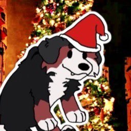 Shabbytaii's profile picture. 23 • Sales Rep • 🇺🇸/🇮🇱 • Heb/Eng • New Acc!