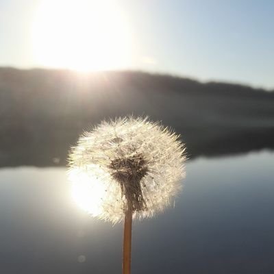 sendemi1345's profile picture. 