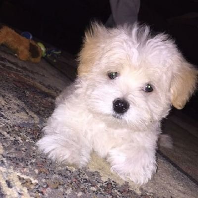 kim14777's profile picture. Pink dreams & money schemes 💖 | Building my world, one vibe at a time 💸👑