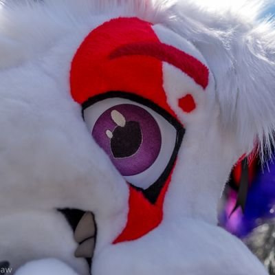 KitsuneKyiSu's profile picture. Fluffy Kitsune-Fox ¤ 23 ¤ He/Him ¤
Demi / Ace ¤ 
 https://t.co/gn1YwMtvEU ¤