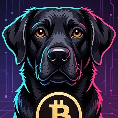 chip_econ's profile picture. NFA Not Financial Advice, trades I share are just my opinion / Trade on @HyperliquidX using my referral link for a 4% discount on fees.