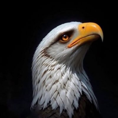 Tamcat1349's profile picture. مسئول کامنت دیگران نیستم ،در اولین فرصت. «بک » می دهم.لطفا چند تا توییت بنده را بخوانید دوست ندارید فالو نکنید.عرزشی ، پایداریچی ،مجاهد و منافق ⛔️