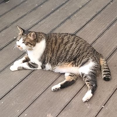 A_AS2O_O's profile picture. 엽, 스텔라, 하여튼 님들이 아는 걔