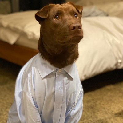 LeoGierhake's profile picture. building @trylaurence