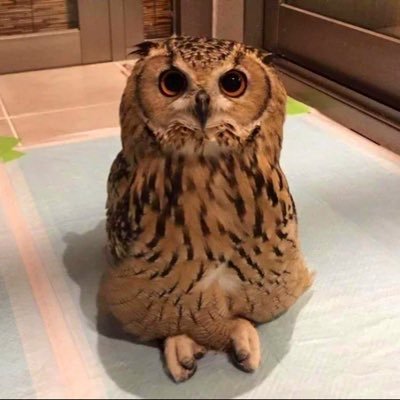 agniv_s's profile picture. avid calvin & hobbes reader | cycling @stanford, ex-math/cs @uniofoxford