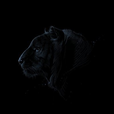 sh_mrsh's profile picture. 