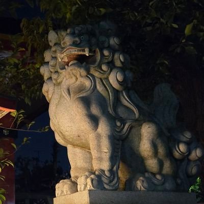 si_justin_'s profile picture. 犬も好き