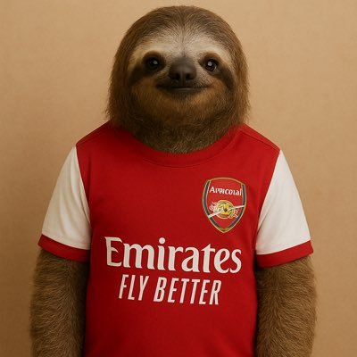 sloththegunner's profile picture. NORTH LONDON FOREVER ❤️🤍