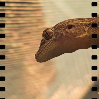 Xdelust's profile picture. °•ONE DAY °•