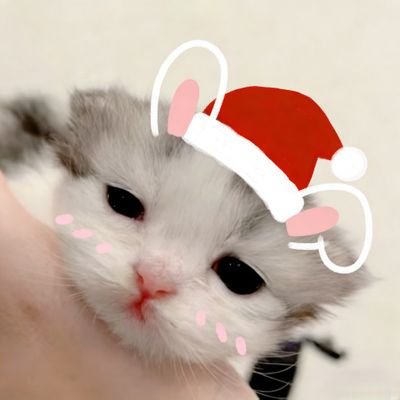 TSUKI_TTKAWA's profile picture. ⚠️推广自辨⚠️|⊹ ꔫ ⊹ 𝓣𝓼𝓾𝓴𝓲 つき ⊹ ꔫ ⊹ ｜NSFW🔞｜switch｜无🚪不线下不加v｜妹宝互关｜青叔音的狗｜不站队不吵架不参与