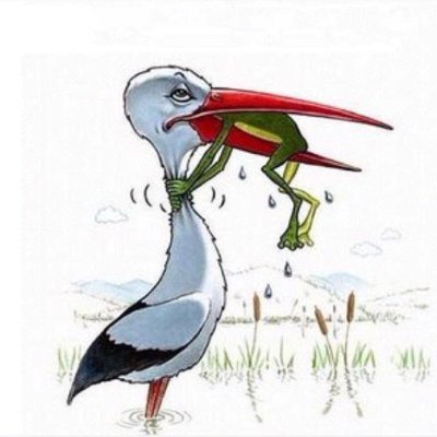 nakamufti's profile picture. 