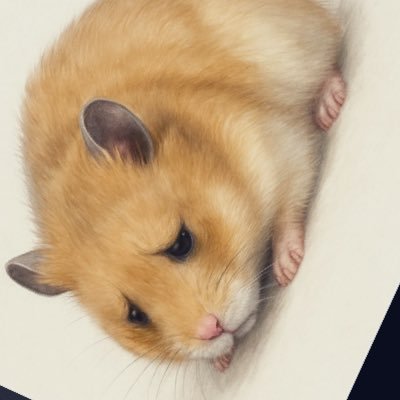 YUKIuarp's profile picture. 