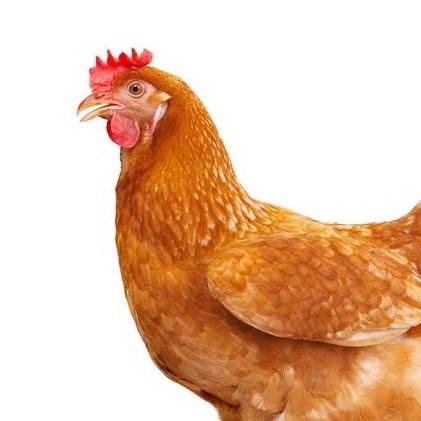 ZevenisNotDead's profile picture. 𝙲𝙰𝙻𝙻 𝙼𝙴 ❝ 𝗭𝗘𝗩𝗘𝗡/𝟳 ❞ Artist ,𝚂𝙷𝙴/𝙷𝙴𝚁 ★ I made #PRS / #ProjectResurrectedSorrow |not a talkative & dry person | 17 | PRI@ZecertZmuxez (moot only