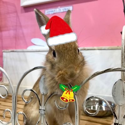 minazochan_37's profile picture. ポイ活と投資をしながらホットヨガでダイエットをしたい人🥕58Kg→53Kg🥕Amazonアソシエイトに参加中🥕1円玉を拾わない人に100万円は拾えないのだ〜。 https://t.co/OCCk6AEBd6 🛍️ https://t.co/LMFfRYrqaF