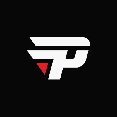 paiNGamingBR's profile picture. NINGUÉM TORCE COMO A GENTE! 📢 ▸ @Corsair_BR @DorflexOficial @ExitLagBR @JBL_Brasil @keydropcom @melittabrasil @pirateswapcom