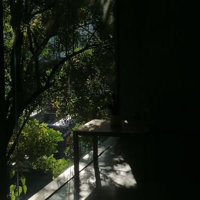 Daiki_dd3's profile picture. 