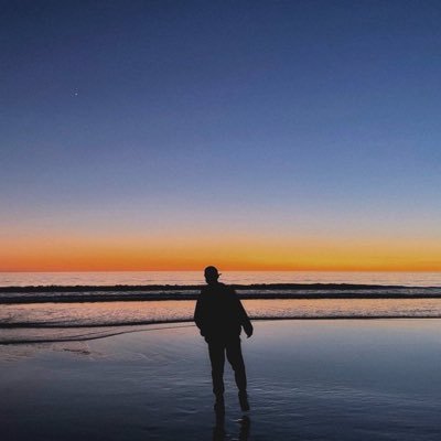 wallshighenough's profile picture. building stuff