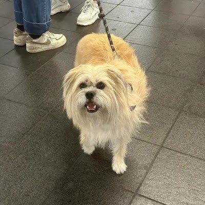 langl2765's profile picture. 