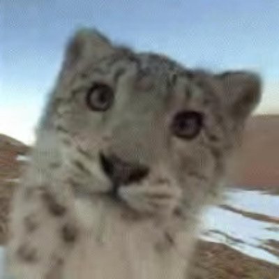 CADAVERPILLED's profile picture. CADAVER IS / NACIRFA
HOMO-SEXUAL
40 DAYS / 40 ACRES
UNEMPLOYED LIFESTYLE