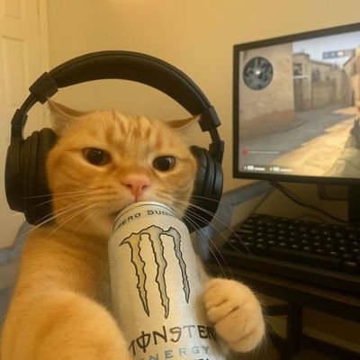 Boluw_atife's profile picture. WEB-3!,
The World is your Oyster.