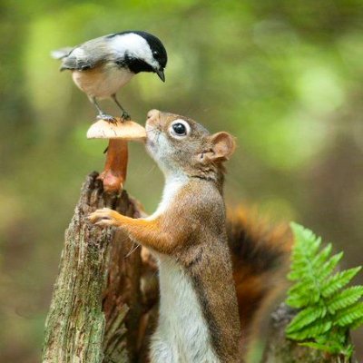 NgocDiep47091's profile picture. A place to capture moments of animals and the magical beauty of nature! 
Please contact us to delete if there is any violation.