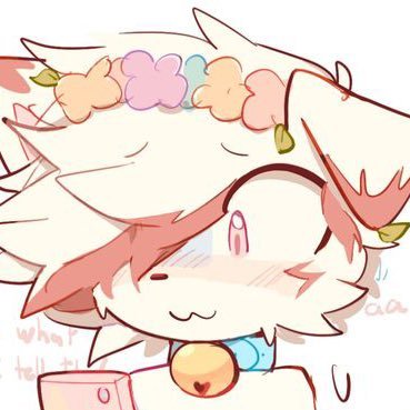 furryfla's profile picture. used to be @omniflattv | suspended at 3k | minor | priv: @femiomni