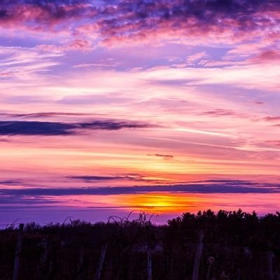 r0driguez059's profile picture. 💓💖PUEDO AYUDARTE A RECUPERAR LO PERDIDO, SOLO TIENES QUE TENER FE Y CREER QUE ES POSIBLE ❤️🥰