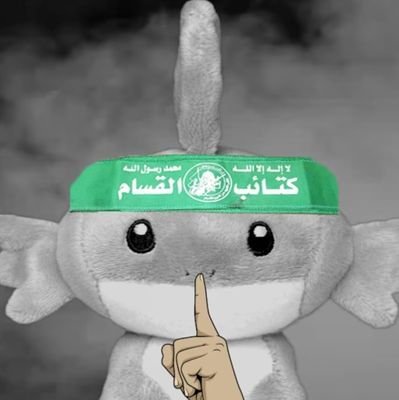 blueberry__000's profile picture. It is easy to be unaware of how much we don't know. 🐢