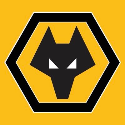 UtdBart's profile picture. man utd fan/hater • never wrong, just early.