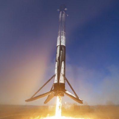 StockTesla80866's profile picture. 