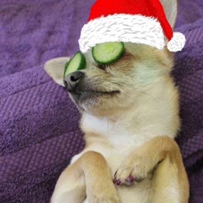 zBogartmq's profile picture. 𝚜𝚘𝚗𝚎𝚞𝚛𝚘 | 𝚓𝚎𝚜𝚋𝚒𝚋𝚕𝚎 | 𝚖𝚒𝚕𝚎𝚊𝚙𝚘 | 𝚙𝚎𝚝𝚎𝚛𝚍𝚎𝚛𝚒𝚢 I 𝚔𝚒𝚜𝚜𝚢💋