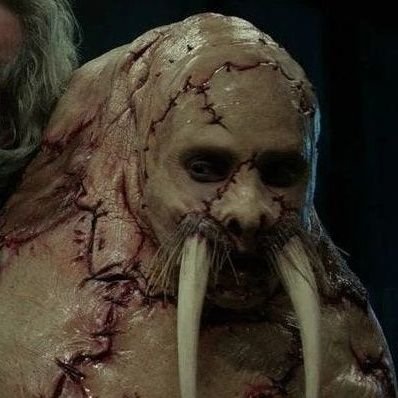 atraumaquilt's profile picture. 17 year old lady
diagnosed with DID + Cptsd. im a 
shock cinema + horror geek. sleep diagnosed people GO AWAY