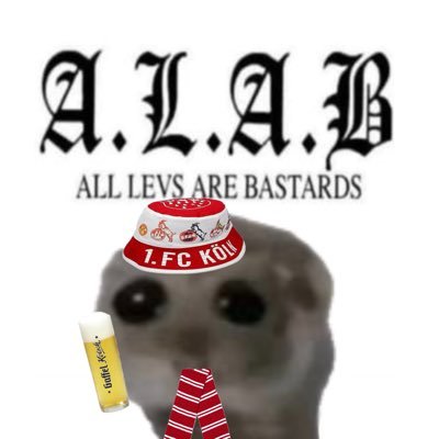 KoelnerHamster's profile picture. 1. FC Köln❤️🤍 | MV33🧡🇳🇱