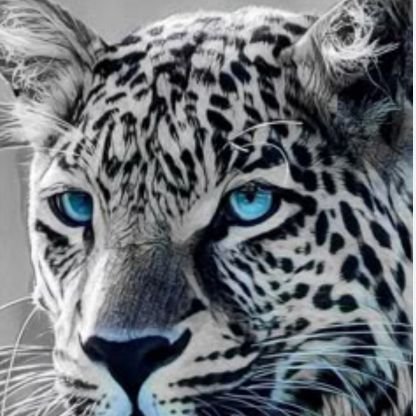 eddiemillion694's profile picture. 