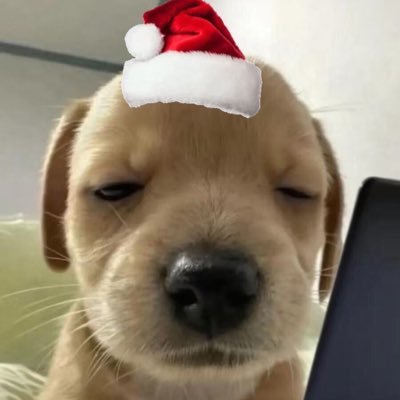 ReeekiuZzhxxvv's profile picture. 