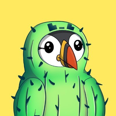 shimkey's profile picture. self proclaimed cactus in Web3 🌵 / marketing @ppuffins