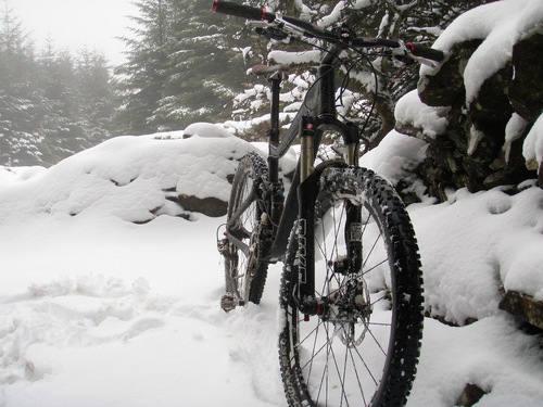 wallysaurus's profile picture. Mmmmm dirt.....