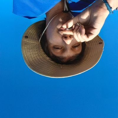 olafarcuri's profile picture. Atorrante. Una vez Benegas Lynch me citó como colaborador, no sé si estoy orgulloso.
@olafysubot
🇦🇷🧙🏻‍♂️