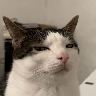 callmecheekyboy's profile picture. เรามันไทป์ผัวลูกหมาไง #สมาร์ทบูม🐕💖🐈‍⬛ #พูห์พาเวล 🐶🐱🤪 #ป๋อจ้าน 🦁🐰 ลูกชายหน้าดื้อตลอดกาล⭐️🔥🌈