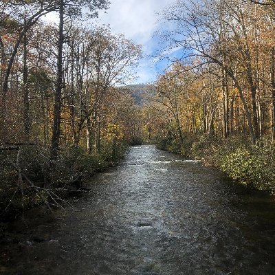 BCummings30's profile picture. 