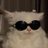 ynagyangism's profile image