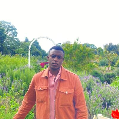 _ludeki's profile picture. 