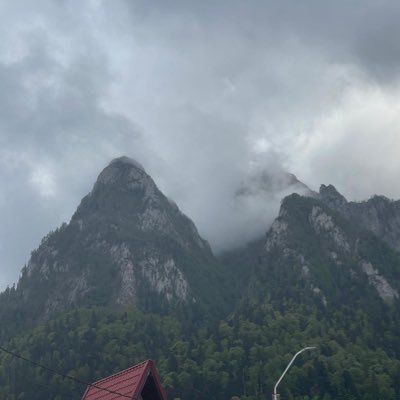 ordo_dracul's profile picture. 