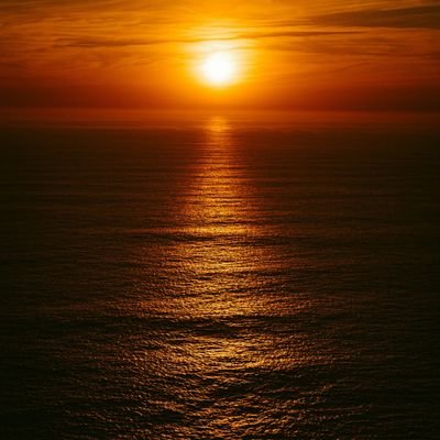 tolga_savasan's profile picture. 