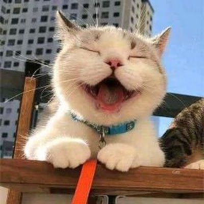 vipk4444's profile picture. 