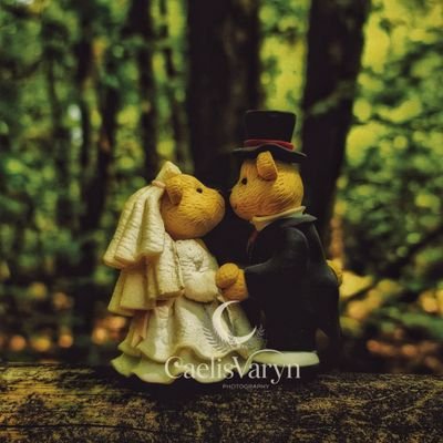 CaelisVaryn's profile picture. 🍁 Little pixel in a world of giants 🇬🇧 | Cosy chaos | Chronic insomniac | Slightly odd around the edges! ✨️ Poly/Pan/Demi/Non-Binary ✨️ ⬇️ Random misprints.