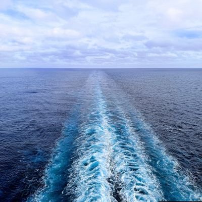 tripkeee's profile picture. 