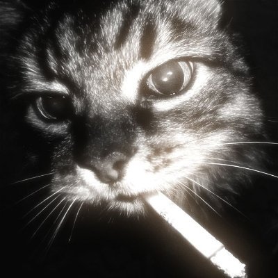 Moskfv's profile picture. 15 🇸🇦| player for ? | For any inquiries
dm @Slaxfv