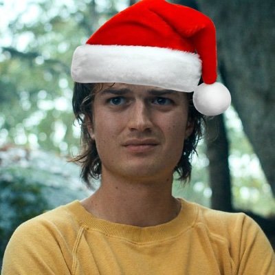 spidermva's profile picture. minor, she/her, black

very multi fandom! teenage fangirl be warned 

i like stranger things and wicked and marvel and sonic and

#EDDIEMUNSONALIVE2025