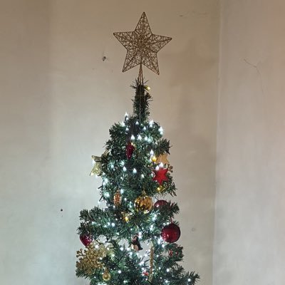 cupofteakim's profile picture. 15 / greys, svu / eastenders, emmerdale / horror movies / member of the niccy mitch army